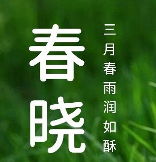 免费可商用0823圆体字体下载